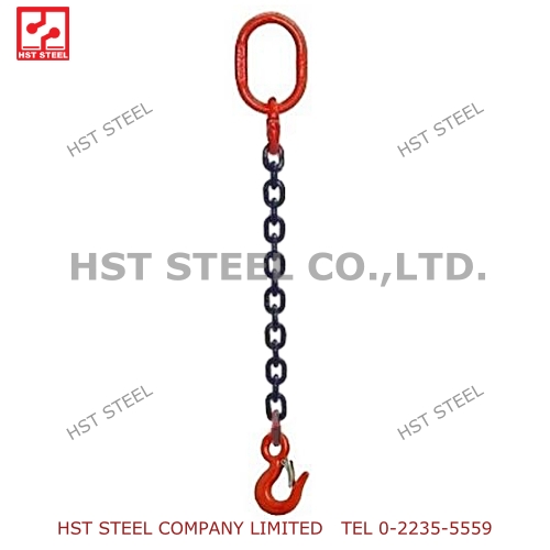 1L CS+HOOK A320 2.jpg